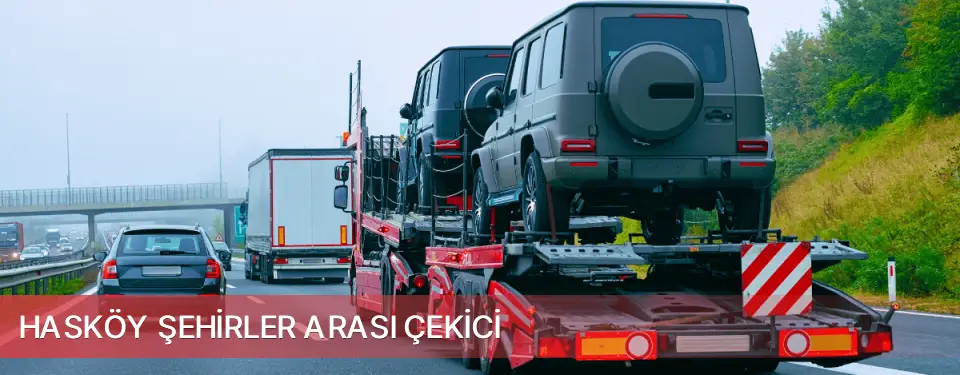 Hasköy İlçemi Şehirler Arası Çekici